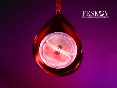 Sanguinamento dopo l'impianto di fecondazione in vitro: cause e trattamento immagine